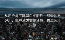 从用户角度聊聊白虎图片：哪些地方好用，哪些地方需要适应，白虎照片头像
