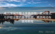 电鸽官网完整上手路线图：夜间模式与护眼设置的最佳实践，赛鸽电动车使用教程