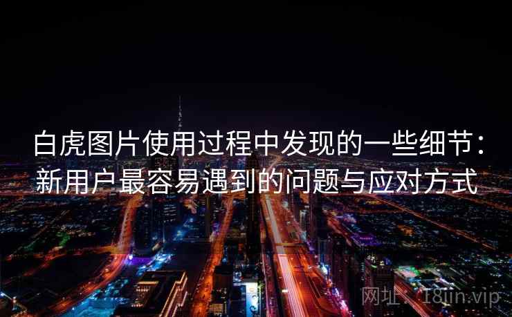 白虎图片使用过程中发现的一些细节:新用户最容易遇到的问题与应对方式 第2张 白虎图片使用过程中发现的一些细节:新用户最容易遇到的问题与应对方式 第2张