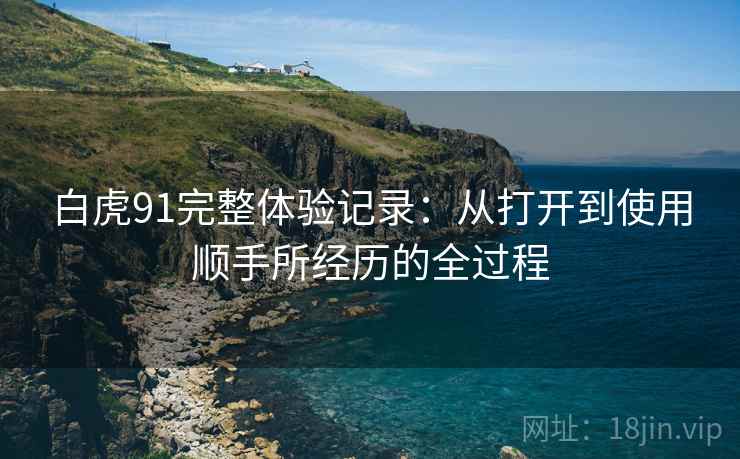 白虎91完整体验记录：从打开到使用顺手所经历的全过程  第2张