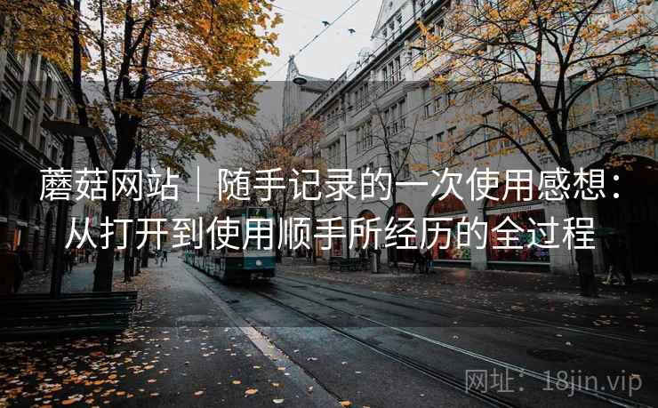 蘑菇网站｜随手记录的一次使用感想：从打开到使用顺手所经历的全过程  第2张