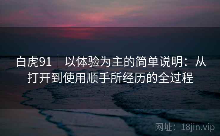 白虎91｜以体验为主的简单说明：从打开到使用顺手所经历的全过程  第1张