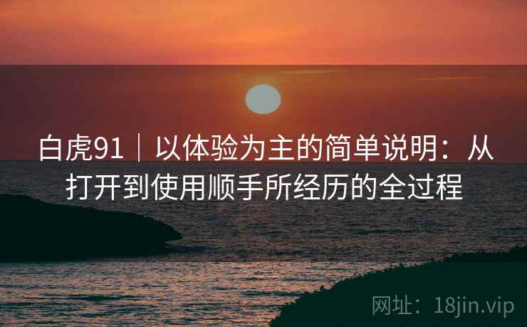 白虎91｜以体验为主的简单说明：从打开到使用顺手所经历的全过程  第2张