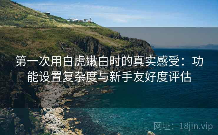 第一次用白虎嫩白时的真实感受:功能设置复杂度与新手友好度评估 第2张 第一次用白虎嫩白时的真实感受:功能设置复杂度与新手友好度评估 第2张