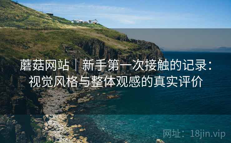 蘑菇网站｜新手第一次接触的记录：视觉风格与整体观感的真实评价  第1张